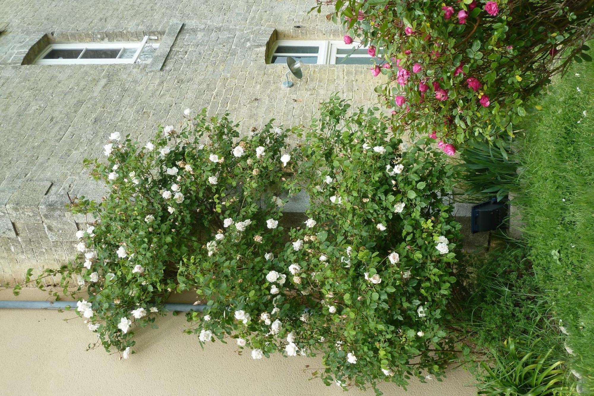 B&B L'Atelier du Presbytère Saint-Maugan Exterior foto